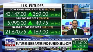 Markets are throwing 'little bit of a temper tantrum': Woodshaw Financial Group principal - Fox Business Video