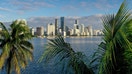 Aerial view of palm trees framing the city skyline on October 27, 2021, in Miami, Florida. 