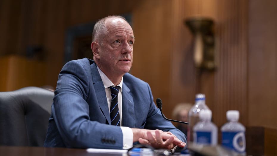 UnitedHealth Group CEO Andrew Witty testifies at a hearing